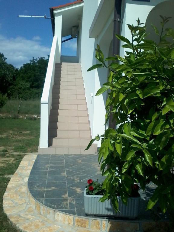Holiday S&M Lopar Luaran gambar
